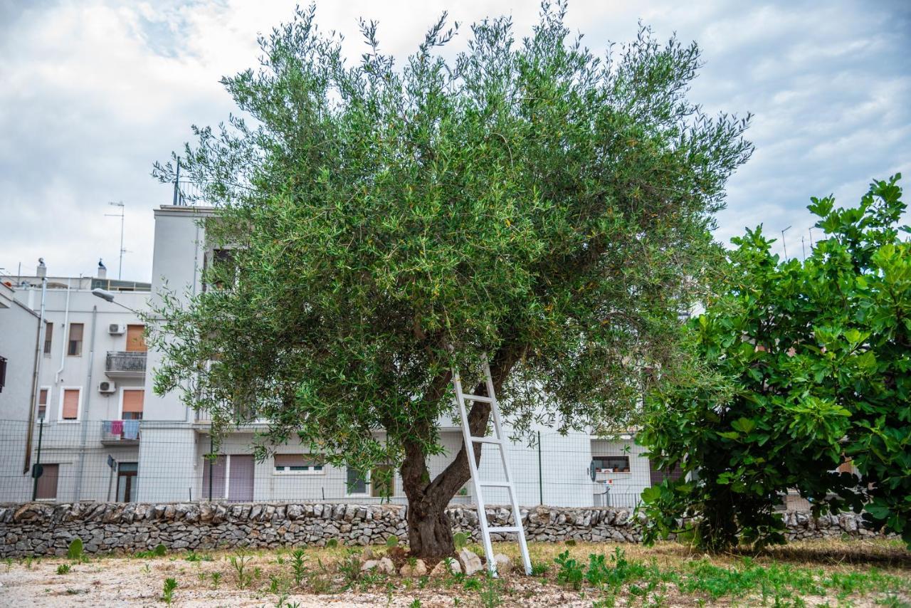Trulli Dimora Palmisano Locorotondo Exterior foto