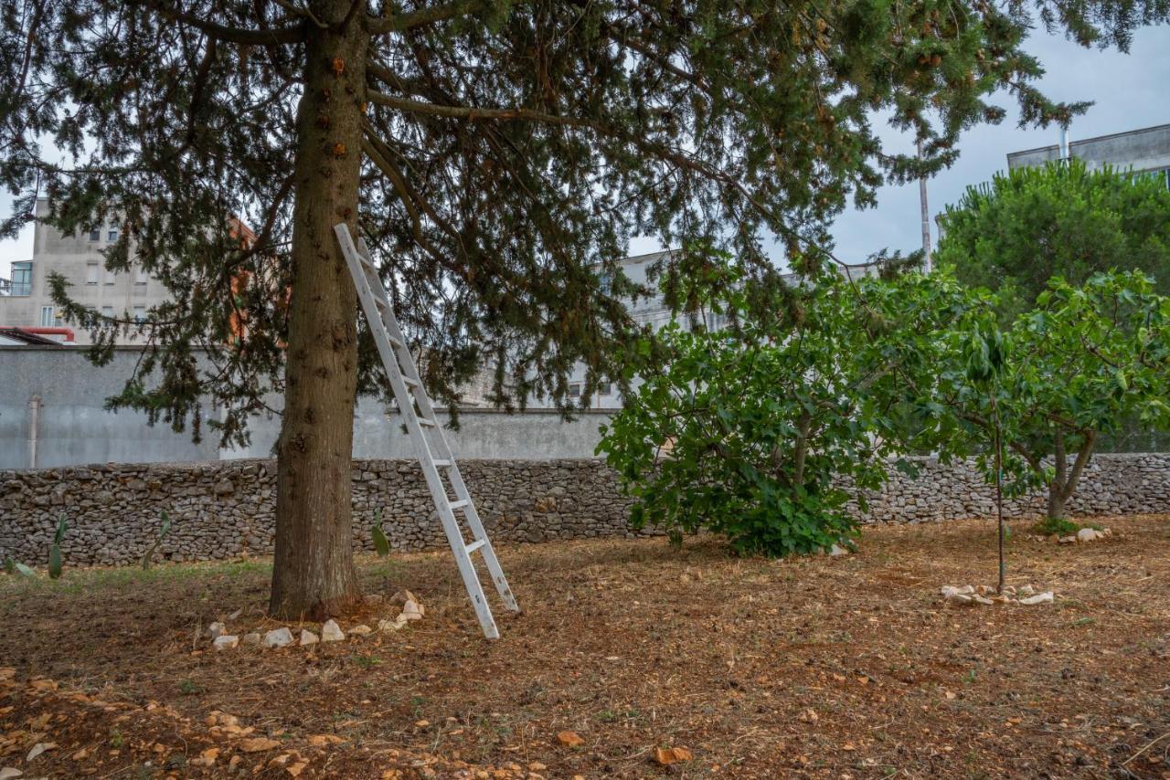 Trulli Dimora Palmisano Locorotondo Exterior foto